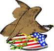 Civil War Navies